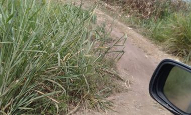 Terreno de Venta en Palenque Vinces