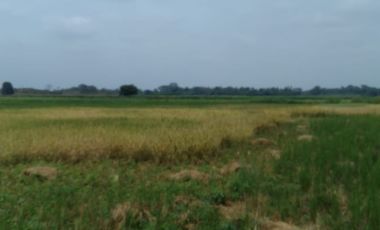 Terreno de Venta en Palenque Vinces