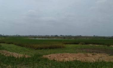 Terreno de Venta en Palenque Vinces