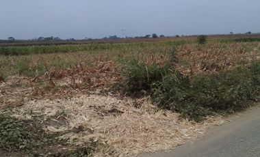 Terreno de Venta en Palenque Vinces