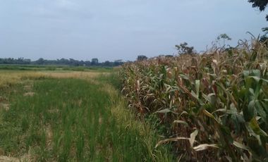 Terreno de Venta en Palenque Vinces
