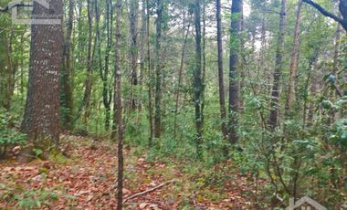 HERMOSO TERRENO EN ZONA BOSCOSA DE OMITLAN ZONA LA CIENEGA TIENE UN TANQUE DE ABASTECIMIENTO DE AGUA