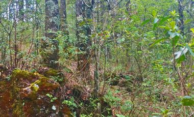 HERMOSO TERRENO EN ZONA BOSCOSA DE OMITLAN ZONA LA CIENEGA TIENE UN TANQUE DE ABASTECIMIENTO DE AGUA