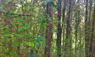 HERMOSO TERRENO EN ZONA BOSCOSA DE OMITLAN ZONA LA CIENEGA TIENE UN TANQUE DE ABASTECIMIENTO DE AGUA