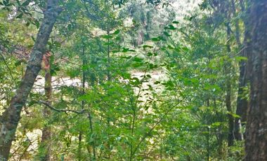 HERMOSO TERRENO EN ZONA BOSCOSA DE OMITLAN ZONA LA CIENEGA TIENE UN TANQUE DE ABASTECIMIENTO DE AGUA