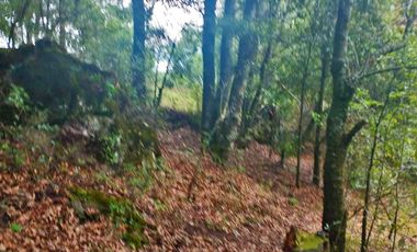 HERMOSO TERRENO EN ZONA BOSCOSA DE OMITLAN ZONA LA CIENEGA TIENE UN TANQUE DE ABASTECIMIENTO DE AGUA