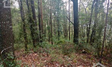 HERMOSO TERRENO EN ZONA BOSCOSA DE OMITLAN ZONA LA CIENEGA TIENE UN TANQUE DE ABASTECIMIENTO DE AGUA