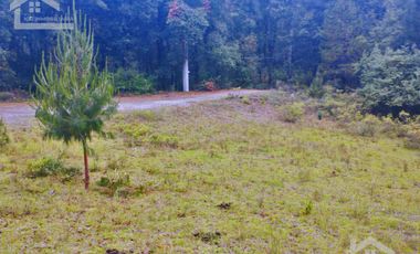 HERMOSO TERRENO EN ZONA BOSCOSA DE OMITLAN ZONA LA CIENEGA TIENE UN TANQUE DE ABASTECIMIENTO DE AGUA