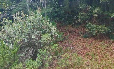 HERMOSO TERRENO EN ZONA BOSCOSA DE OMITLAN ZONA LA CIENEGA TIENE UN TANQUE DE ABASTECIMIENTO DE AGUA