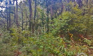 HERMOSO TERRENO EN ZONA BOSCOSA DE OMITLAN ZONA LA CIENEGA TIENE UN TANQUE DE ABASTECIMIENTO DE AGUA