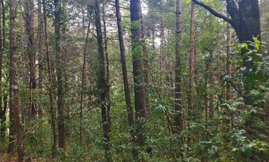 HERMOSO TERRENO EN ZONA BOSCOSA DE OMITLAN ZONA LA CIENEGA TIENE UN TANQUE DE ABASTECIMIENTO DE AGUA