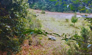 HERMOSO TERRENO EN ZONA BOSCOSA DE OMITLAN ZONA LA CIENEGA TIENE UN TANQUE DE ABASTECIMIENTO DE AGUA