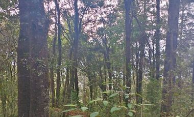 HERMOSO TERRENO EN ZONA BOSCOSA DE OMITLAN ZONA LA CIENEGA TIENE UN TANQUE DE ABASTECIMIENTO DE AGUA