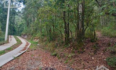 HERMOSO TERRENO EN ZONA BOSCOSA DE OMITLAN ZONA LA CIENEGA TIENE UN TANQUE DE ABASTECIMIENTO DE AGUA