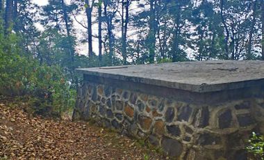 HERMOSO TERRENO EN ZONA BOSCOSA DE OMITLAN ZONA LA CIENEGA TIENE UN TANQUE DE ABASTECIMIENTO DE AGUA