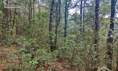 HERMOSO TERRENO EN ZONA BOSCOSA DE OMITLAN ZONA LA CIENEGA TIENE UN TANQUE DE ABASTECIMIENTO DE AGUA