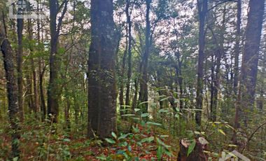 HERMOSO TERRENO EN ZONA BOSCOSA DE OMITLAN ZONA LA CIENEGA TIENE UN TANQUE DE ABASTECIMIENTO DE AGUA