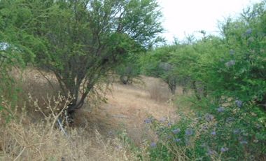 ATENCIÓN!!! EN CONDOMINIO SE VENDE O ARRIENDA CASA