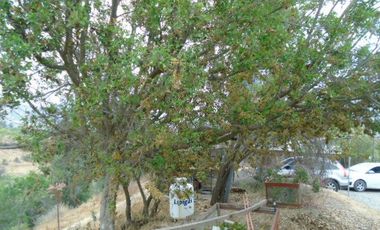 ATENCIÓN!!! EN CONDOMINIO SE VENDE O ARRIENDA CASA