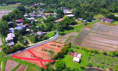 Land sale 120sqWah. 599,000B, Pa Pong Subdistrict, Doi Saket District, Chiang Mai.