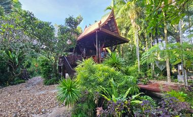 Teak Wooden Thai house 2-Bedroom with big trees surround