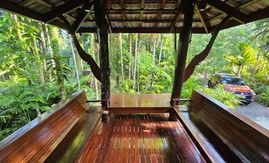 Teak Wooden Thai house 2-Bedroom with big trees surround