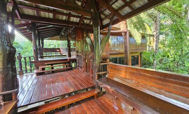 Teak Wooden Thai house 2-Bedroom with big trees surround