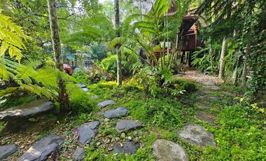 Teak Wooden Thai house 2-Bedroom with big trees surround