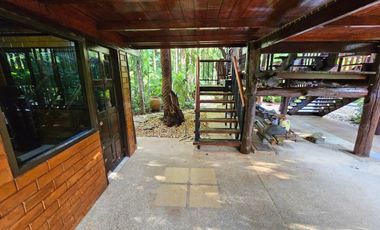 Teak Wooden Thai house 2-Bedroom with big trees surround