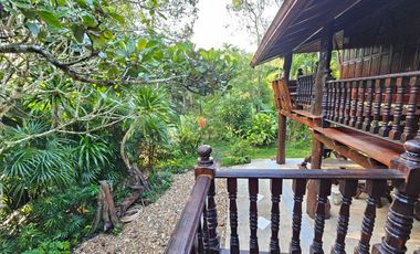 Teak Wooden Thai house 2-Bedroom with big trees surround