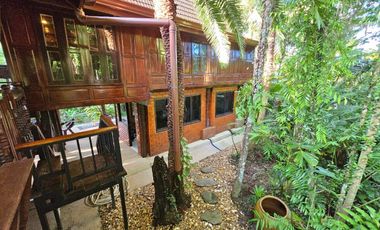 Teak Wooden Thai house 2-Bedroom with big trees surround