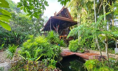 Teak Wooden Thai house 2-Bedroom with big trees surround