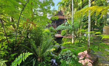 Teak Wooden Thai house 2-Bedroom with big trees surround
