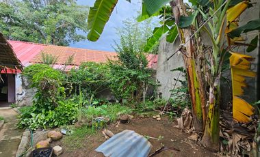 Montana Vista Lot only