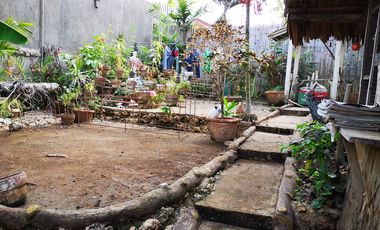 Montana Vista Lot only