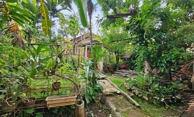 Montana Vista Lot only