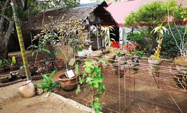 Montana Vista Lot only