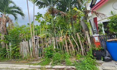 Montana Vista Lot only