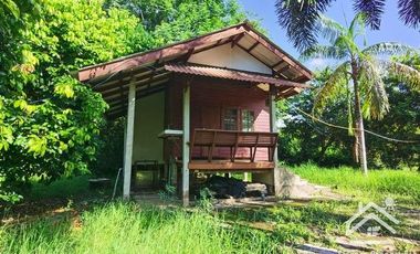 Sale with 3 houses and an orchard Next to the Chao Phraya River - Nakhon Sawan