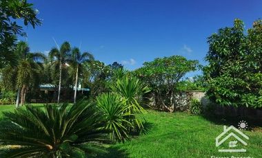 Sale with 3 houses and an orchard Next to the Chao Phraya River - Nakhon Sawan