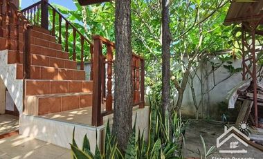 Sale with 3 houses and an orchard Next to the Chao Phraya River - Nakhon Sawan