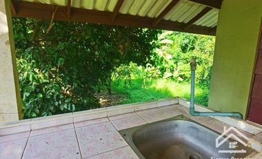 Sale with 3 houses and an orchard Next to the Chao Phraya River - Nakhon Sawan