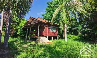 Sale with 3 houses and an orchard Next to the Chao Phraya River - Nakhon Sawan