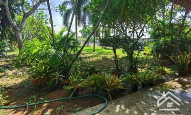 Sale with 3 houses and an orchard Next to the Chao Phraya River - Nakhon Sawan