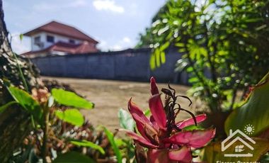 Sale with 3 houses and an orchard Next to the Chao Phraya River - Nakhon Sawan