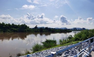 Sale with 3 houses and an orchard Next to the Chao Phraya River - Nakhon Sawan