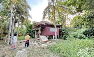 Sale with 3 houses and an orchard Next to the Chao Phraya River - Nakhon Sawan