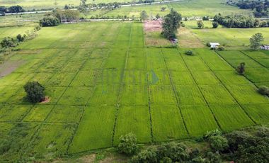 Land 7 rai in San Kamphaeng for Sale near San Kamphaeng Hospital