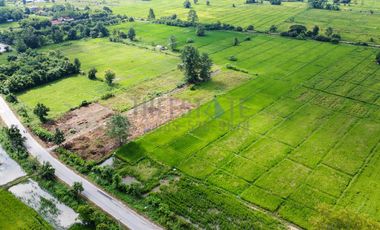 Land 7 rai in San Kamphaeng for Sale near San Kamphaeng Hospital
