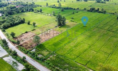 Land 7 rai in San Kamphaeng for Sale near San Kamphaeng Hospital
